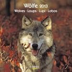 W�lfe / Wolves / Loups / Lupi / Lobos...
