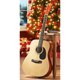 Indiana� Scout Acoustic Guitar by INDIANA