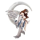 Nene Thomas Believe Fairy Art Wall Decor by The Bradford Exchange