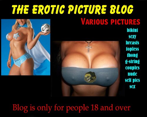The Erotic Picture Blog