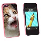 Graphics and More Tabby Kitten Cat Meow - Snap-On Hard Protective Case for Apple iPhone 5/5s - Non-Retail Packaging - Pink