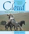 Cloud's Legacy: The Wild Stallion Returns