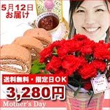 ｍ130【5/12（土）お届け】【送料無料】荻野さんちの赤いカーネーション5号花鉢と苺ロールケーキの大満足セット【母の日ギフト】【期間限定】【指定日限定】【沖縄・離島は配送いたしません】【2012母の日】