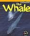 Blue Whale (Animals in Danger)