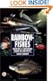Rainbowfishes: Keeping & Breeding Them in Captivity (Re-615)