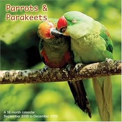 Parrots and Parakeets 2009 Wall Calendar (French Edition)