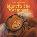 Marvin the Marmoset (Gilda the Giraffe)