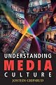 Understanding Media Culture (Hodder Arnold Publication)