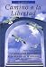 Book Camino a la Libertad (Your Way to Freedom)