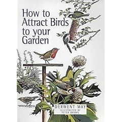 How to Attract Birds to the Garden