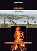 Remember, Remember: A Cultural History of Guy Fawkes Day (Profiles in History)