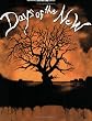 Days of the New (Authentic Guitar-Tab)