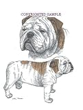 English Bulldog - Double Image by Cindy Farmer