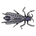 Grasshopper Animal Pin Brooch