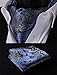 SetSense Men's Paisley Jacquard Woven Self Cravat Tie Ascot Set