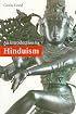 An Introduction to Hinduism (Introduction to Religion)