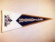 Nashville Predators - Classic NHL Hockey (Pennants)