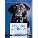 Dem Hund gerecht werden