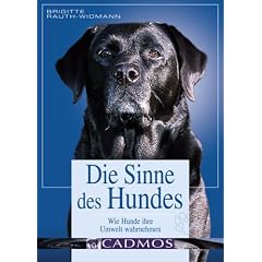 Die Sinne des Hundes: Wie die Hunde ihre Umwelt wahrnehmen
