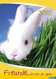 Das w&uuml;nsche ich dir: Freunde, die mit dir gehen 2011: Brosch&uuml;renkalender mit Tierbildern und Bibelversen - 