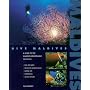 Dive Maldives: A Guide to the Maldives Archipelago (Atoll Editions)