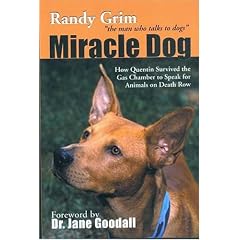 Miracle Dog: How Quentin Survived the Gas Chamber to Speak for Animals on Death Row