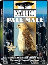 Watch Nature - Pale Male Online.