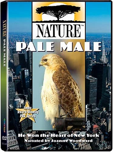 Review of Nature - Pale Male Online