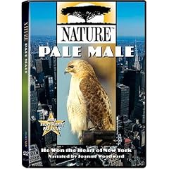 Nature - Pale Male by 