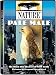 Nature - Pale Male