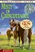 Misty of Chincoteague - Newbery Promo '99 (Paperback)