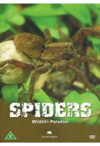 SPIDERS
