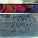 Mickey Hart's Mystery Box