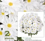 TWO 19" Artificial Daisy Flower Bushes (a total of 144 flower heads) in White