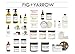FIG+YARROW Organic Cardamom + Coffee Body Scrub (4.5oz)