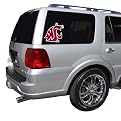 Washington Huskies Team Window Decal