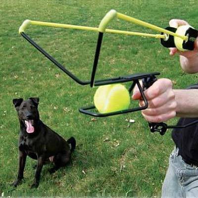 Detail image New - 2 Ball Hyper Dog by HyperProducts