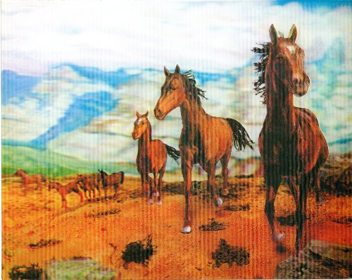 Wild Horses- 3D Lenticular 8x10 Poster- Ready to Frame