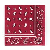 Western Bandana Lunch Napkins (16) Party Supplies