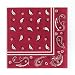 Search : Western Bandana Lunch Napkins (16) Party Supplies