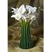 Calla Lily Table Vase Ibis & Orchid Design