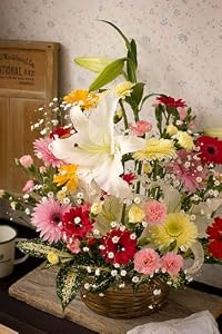 翌日配達お花屋さん　人気のお花ガーベラをメインにより華やかに仕上げたアレンジです。ナチュラル（お誕生日用季節の花ガーベラ・アレンジメント） [即日発送・翌日配達]　 誕生日・記念日・お祝い・結婚祝い・お見舞い・歓送迎会・結婚祝いお礼の花の配達便!正午までのご注文は翌日配達【配達日指定不可】