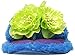 Dearfoams Women's Tropical Flower Thong Flat