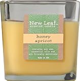 51GOKLIH3yL. SL160  Buy Candles Online   2 Pack Scented Soy Wax Melts Strawberry Jam