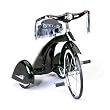Road Hog Tricycle