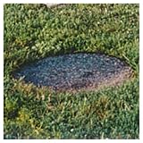 Circular Grate Guard - 30in Diameter