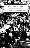 The Rise of David Levinsky (Penguin Classics)