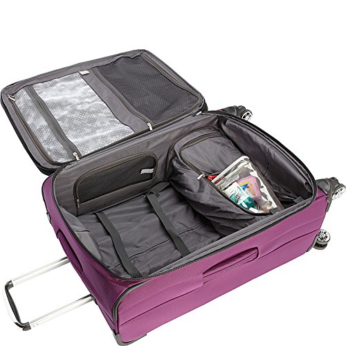 Delsey Luggage Helium Cruise 21 Inch and 29 Inch Spinner Luggage Set