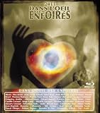 Dans L'Oeil Des Enfoirés 2011 [Blu-ray]