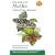 Field Guide to the Moths of Great Britain and Ireland